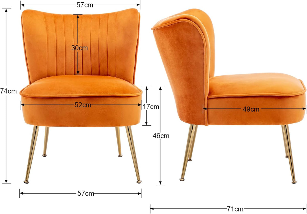 Velvet Accent Chair Occasional Tub Chair with Golden Metal Legs