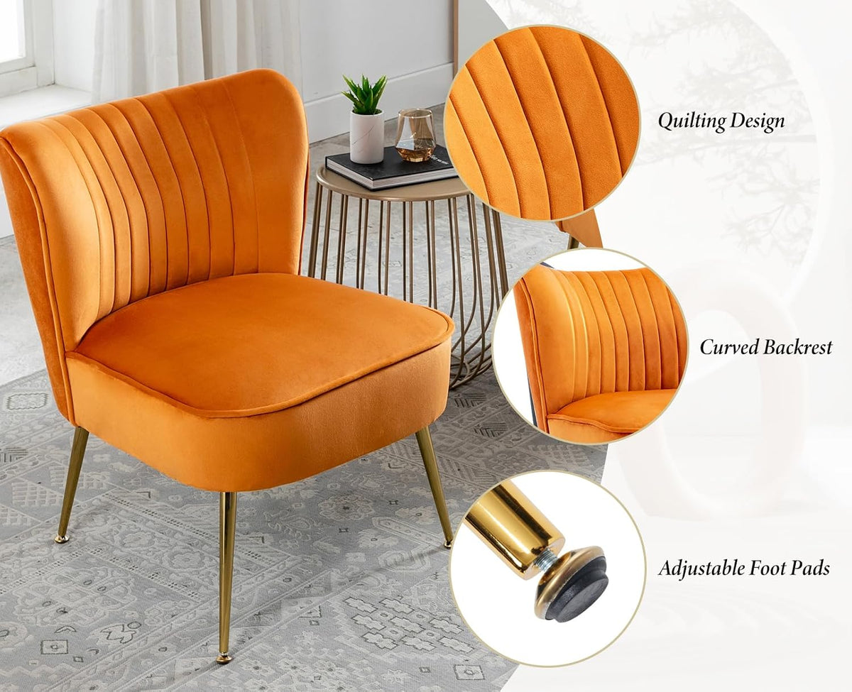 Velvet Accent Chair Occasional Tub Chair with Golden Metal Legs